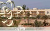 Фотография отеля Desert Rose Resort 5*