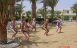 Фотография отеля Palm Beach Resort (Eurotel) 4*